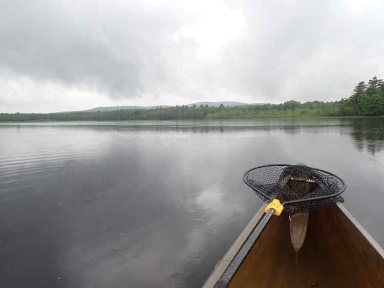 distanthills.JPG.4b7a4b39d77b3c5084e45e80b2963370.JPG