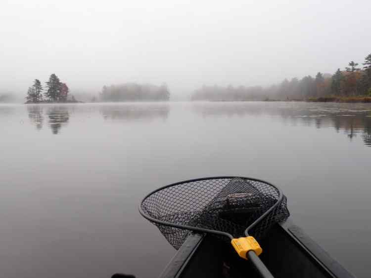 foggymorn.JPG.37d33c0c9bd8c245d6cdc25fa1b1e8d3.JPG