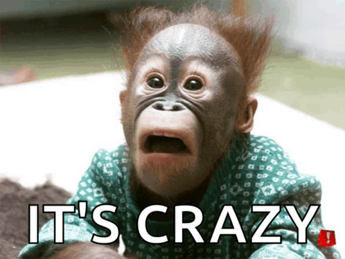 image.gif.3c7113d8e94dc39401f2ea698c63ecb0.gif