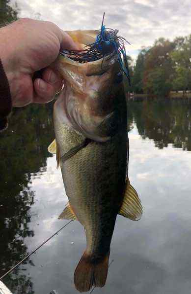 image0.jpeg.1d4542abc59f543ac3d290bda1a403fa.jpeg