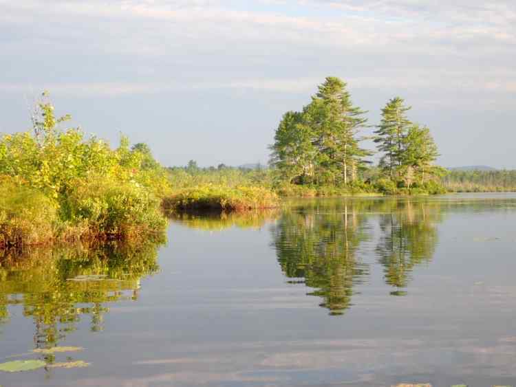 island2.JPG.cbf785e2428bf3751673943b5e413495.JPG