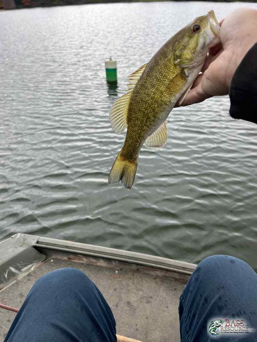 large.IMG_4825.jpeg