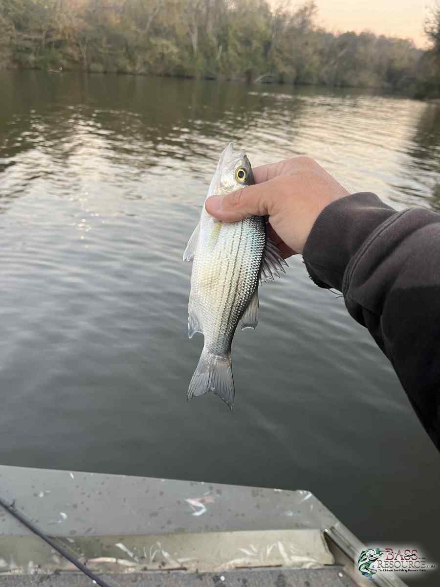 large.IMG_4867.jpeg