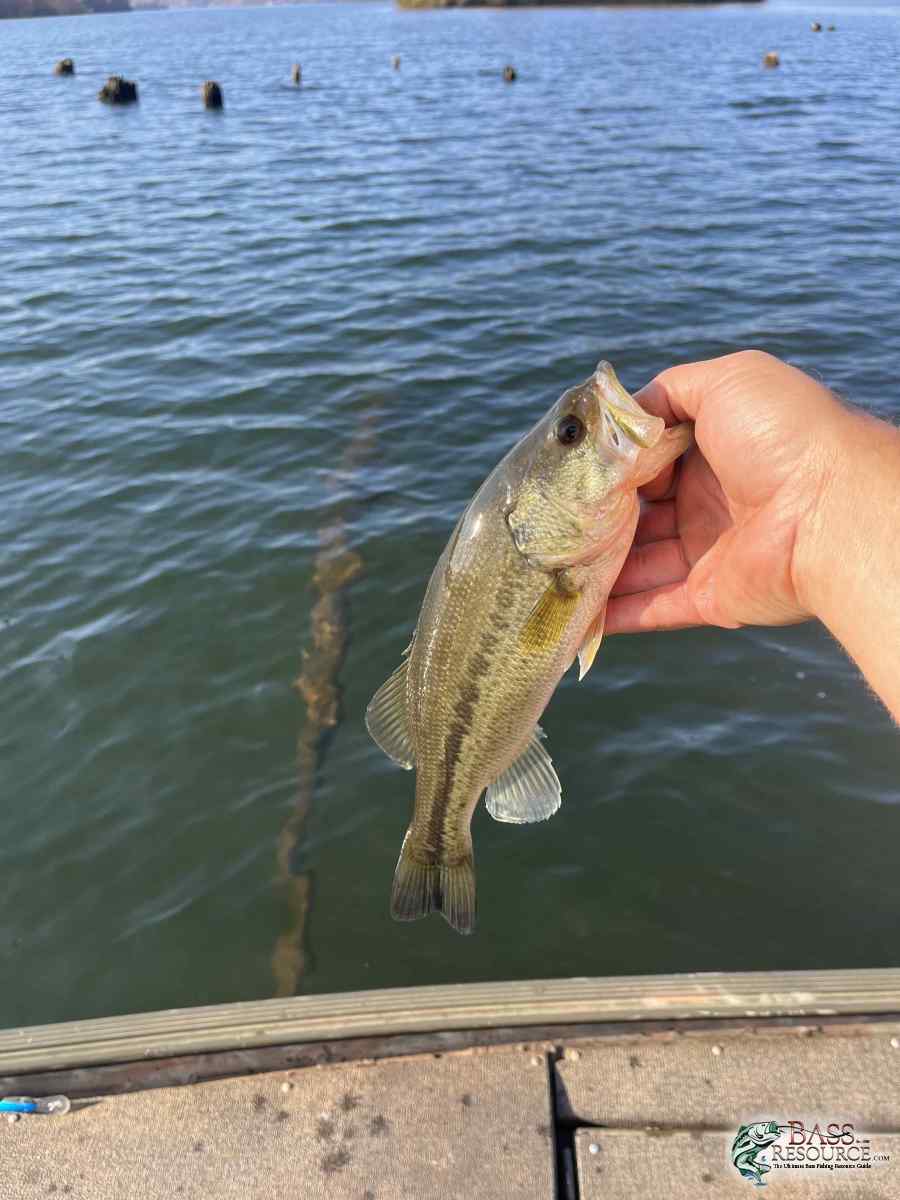 large.IMG_4935.jpeg