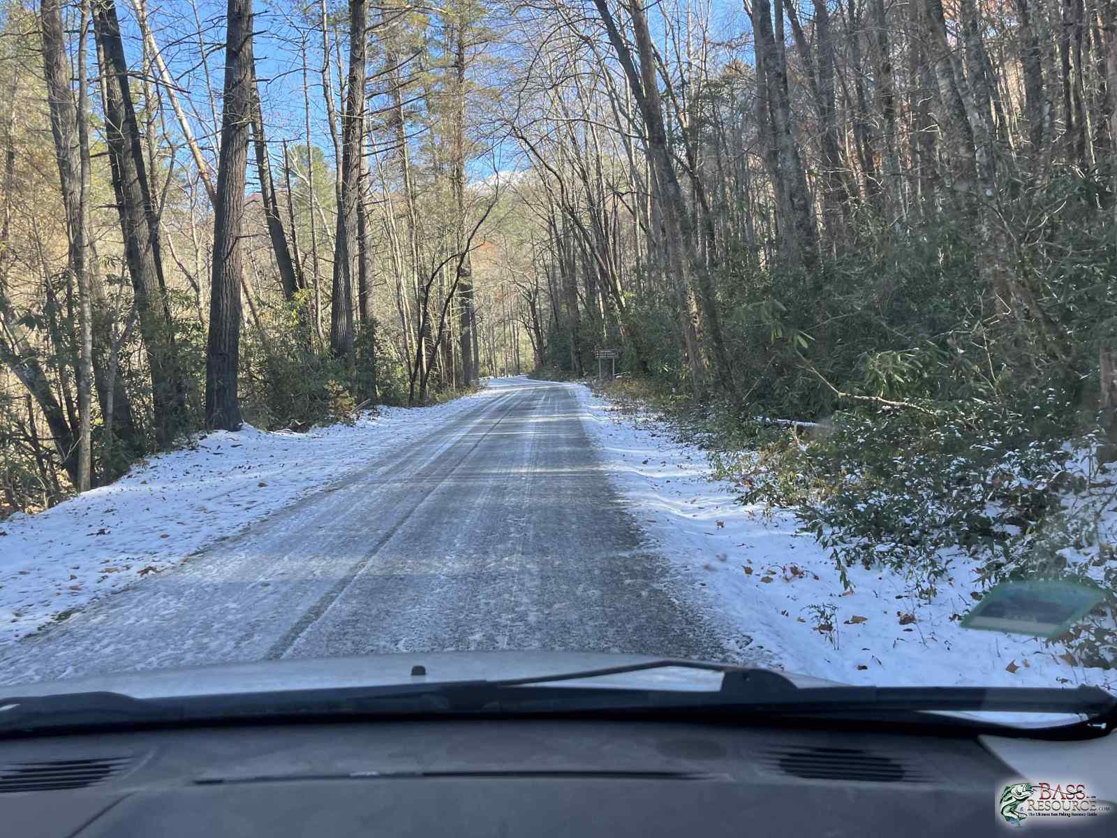 large.IMG_4991.jpeg