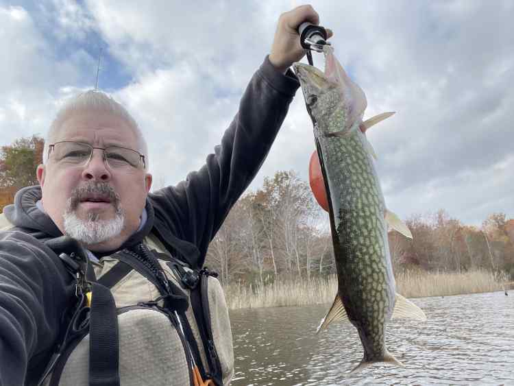 pickerel(1).jpg.d2d0070bc777b25e57c2c25cbdc8ef9f.jpg