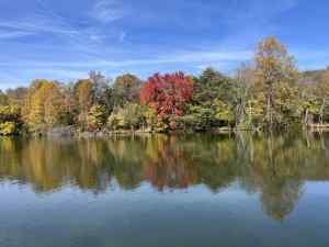 IMG_4792.jpeg