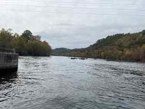 IMG_4801.jpeg