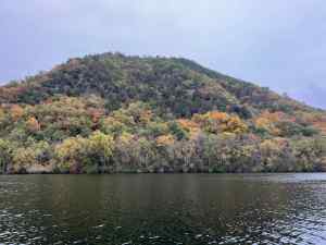 IMG_4807.jpeg