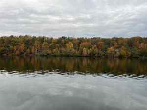 IMG_4809.jpeg