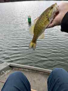 IMG_4825.jpeg