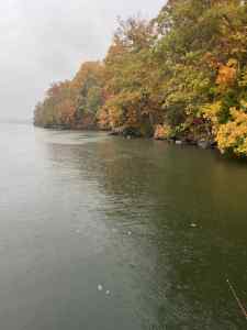 IMG_4841.jpeg