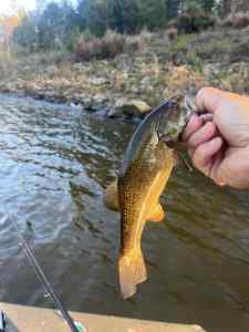 IMG_4863.jpeg