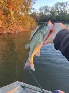 IMG_4865.jpeg