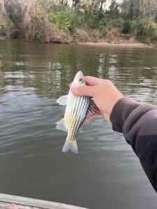 IMG_4866.jpeg