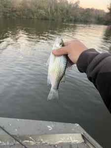 IMG_4867.jpeg