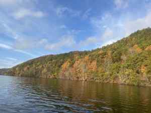 IMG_4925.jpeg