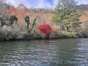 IMG_4928.jpeg