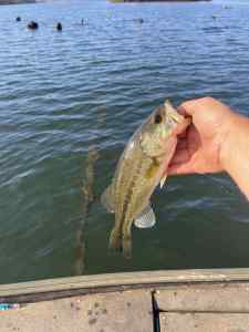 IMG_4935.jpeg