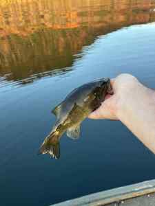 IMG_4942.jpeg
