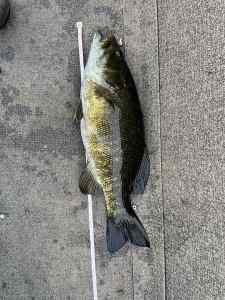 IMG_4943.jpeg