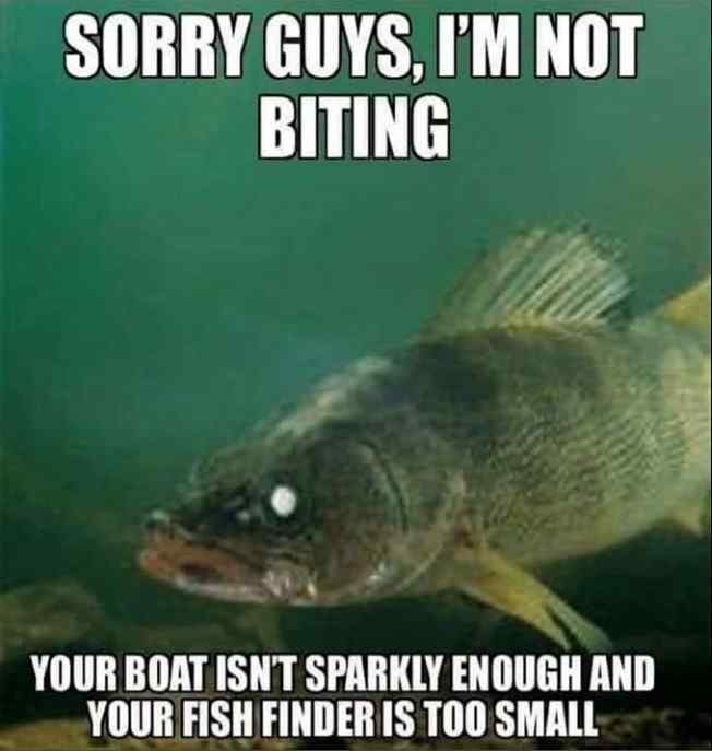 sparkly.jpg.3d8c5a285fd7c8445aff533a64aea567.jpg