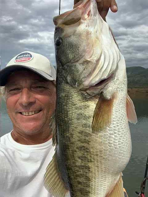 bass8poundsDec_2025.jpg.31b2dcae9c15a0a3d6aa1a1e4e4c4182.jpg