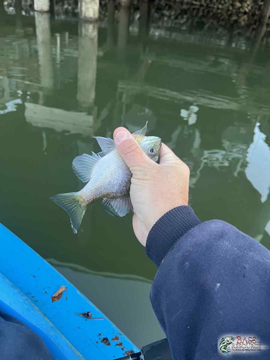 large.IMG_5274.jpeg