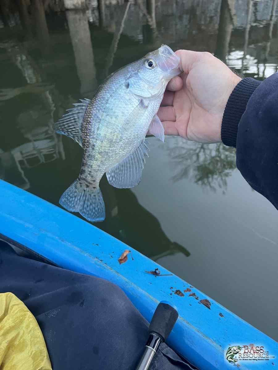 large.IMG_5275.jpeg