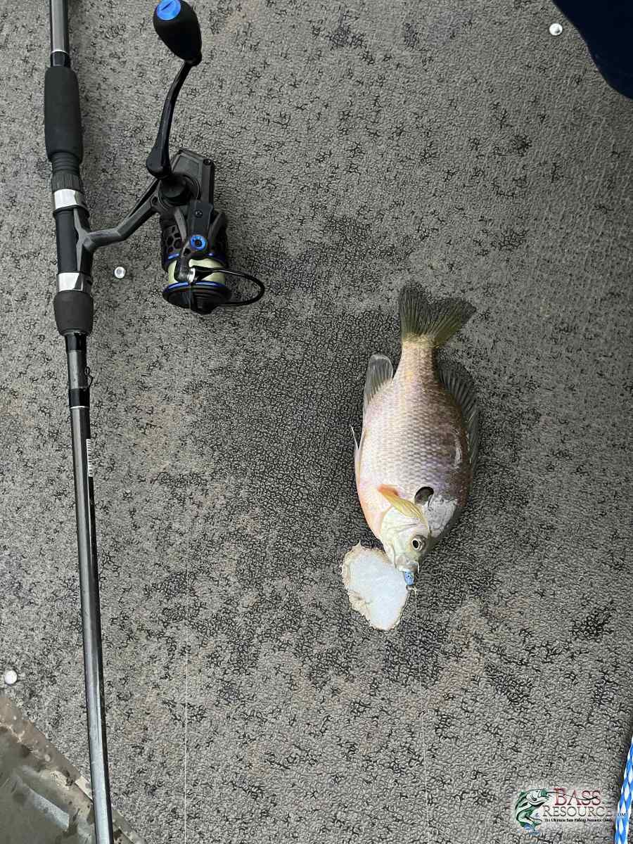large.IMG_5489.jpeg