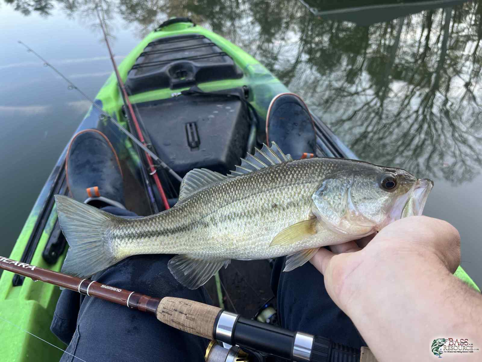 large.IMG_5583.jpeg