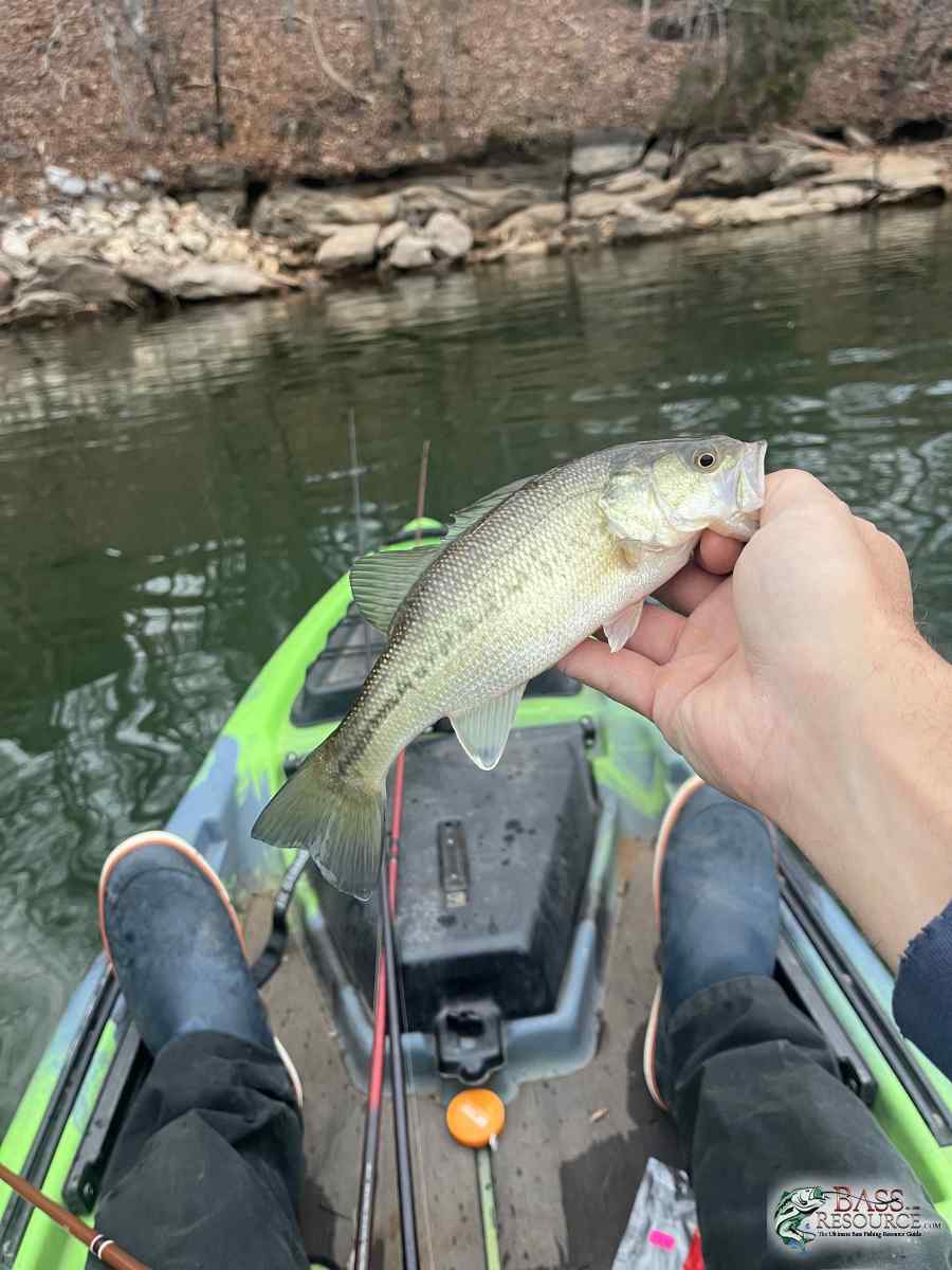large.IMG_5614.jpeg