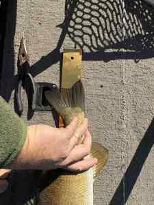 IMG_0373.jpeg