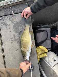 IMG_0898.jpeg