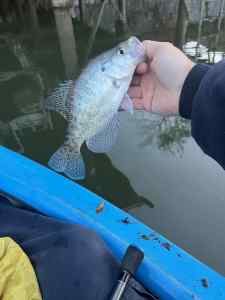 IMG_5275.jpeg