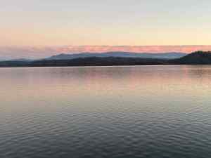 IMG_5349.jpeg