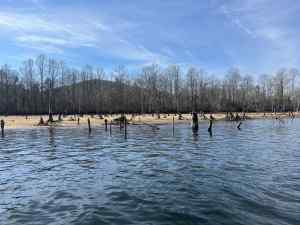 IMG_5432.jpeg
