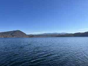 IMG_5445.jpeg
