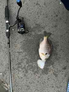 IMG_5489.jpeg
