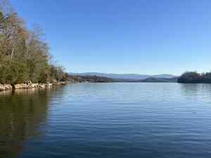 IMG_5515.jpeg
