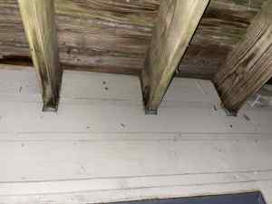IMG_5518.jpeg