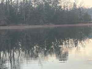 IMG_5580.jpeg