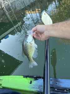 IMG_5585.jpeg