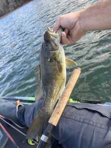 IMG_5589.jpeg