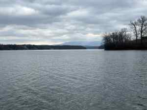 IMG_5595.jpeg