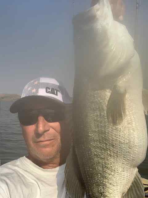 9.9poundbassMay212025.jpg.d8681427604e405e7cd85846716234ce.jpg
