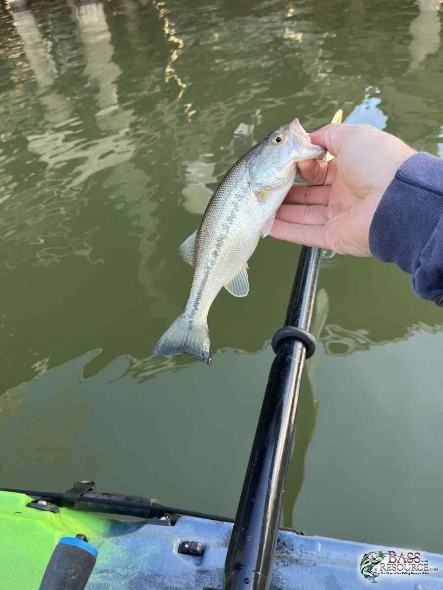 large.IMG_5849.jpeg
