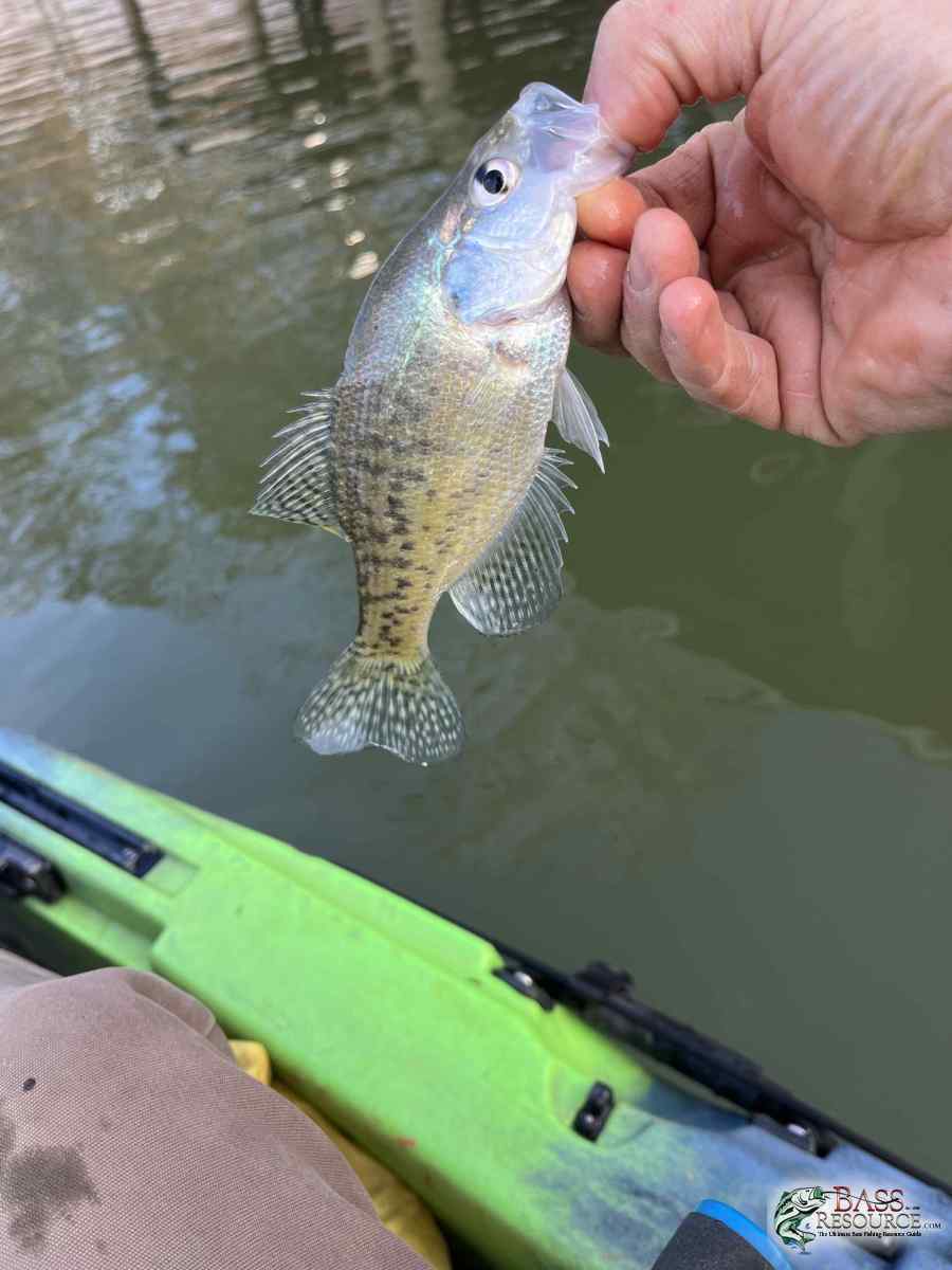large.IMG_5850.jpeg
