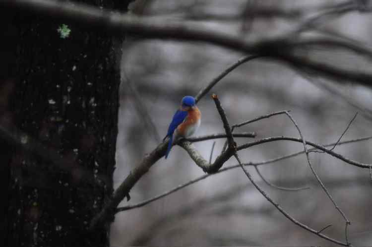 DSC_1973.jpeg