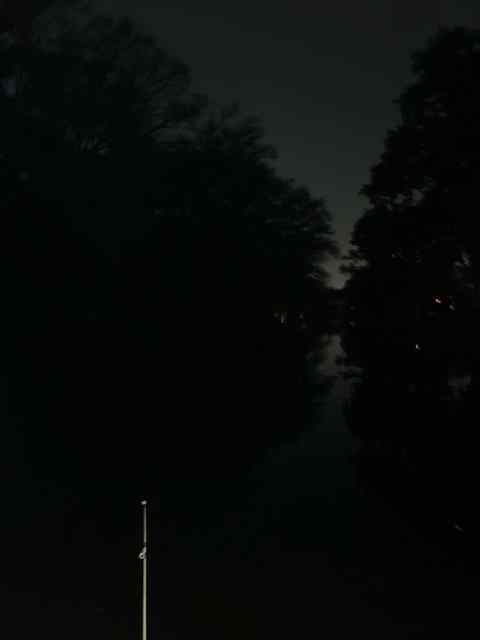IMG_0085.jpeg